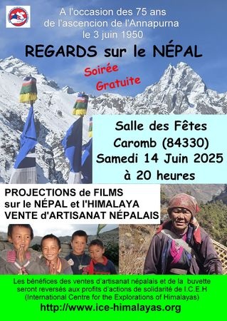 Regards sur le Npal