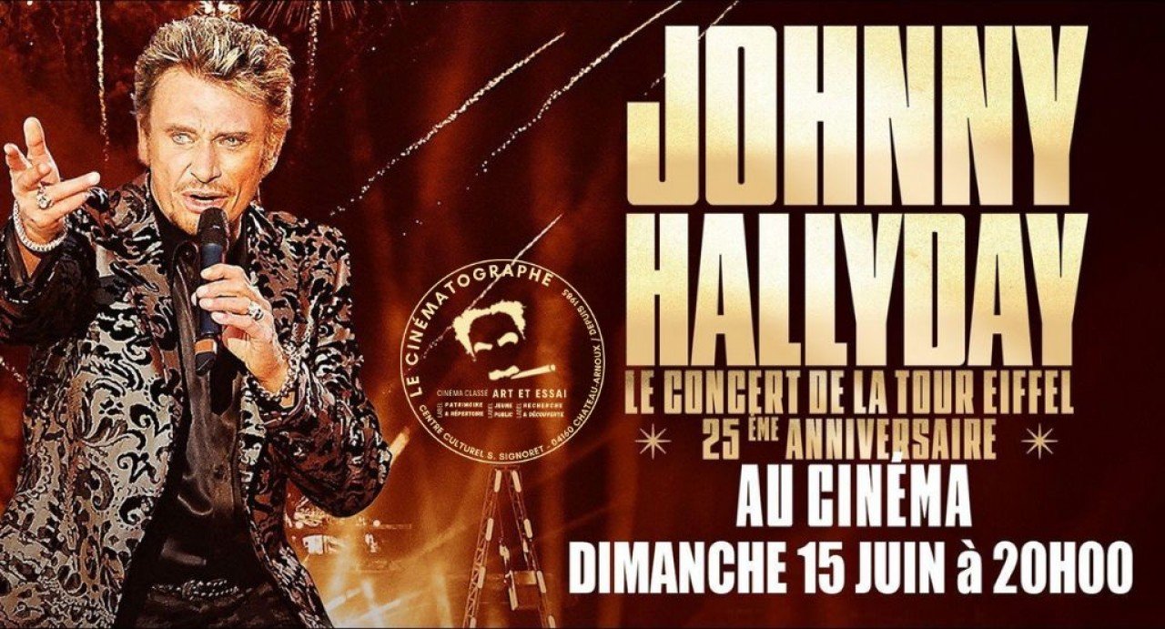 Johnny Hallyday, le concert de la tour Eiffel