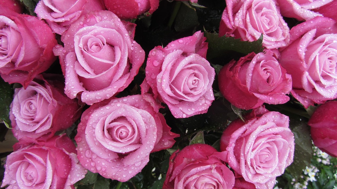 March aux fleurs