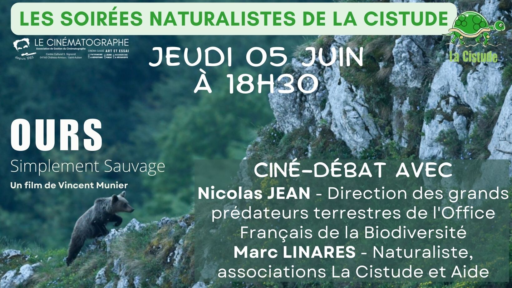 Soire naturaliste  Ours simplement sauvage .