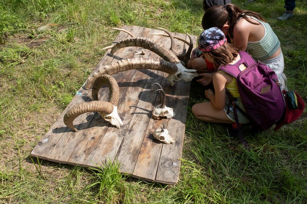 Atelier : les mardis des enfants