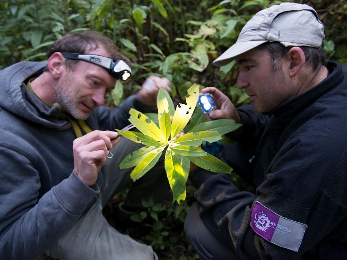 Projection-causerie : les suivis scientifiques du Parc