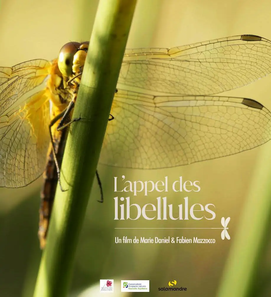 L'appel des libellules : film en refuge