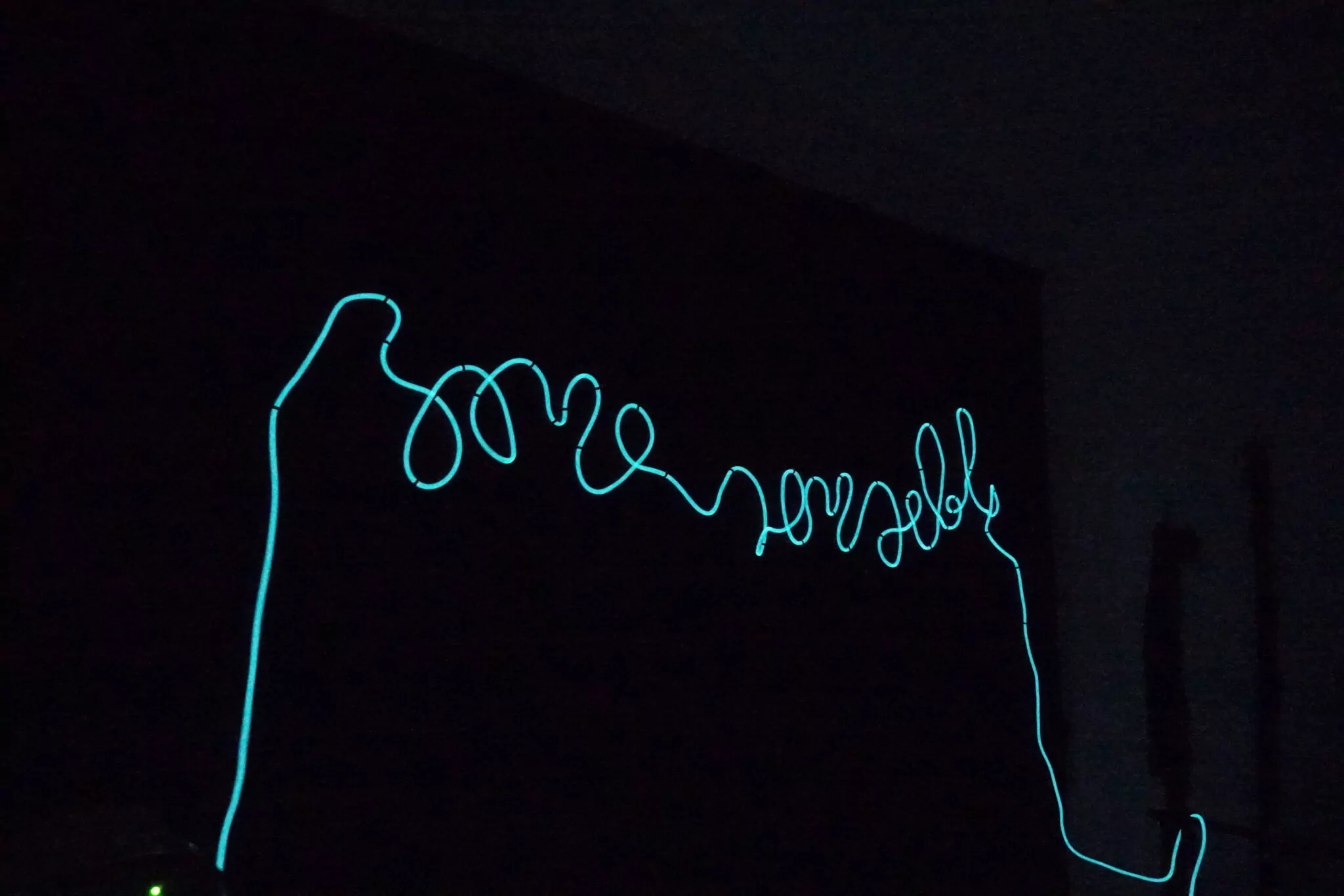Lumire Vivante - Rencontre avec la bioluminescence marine
