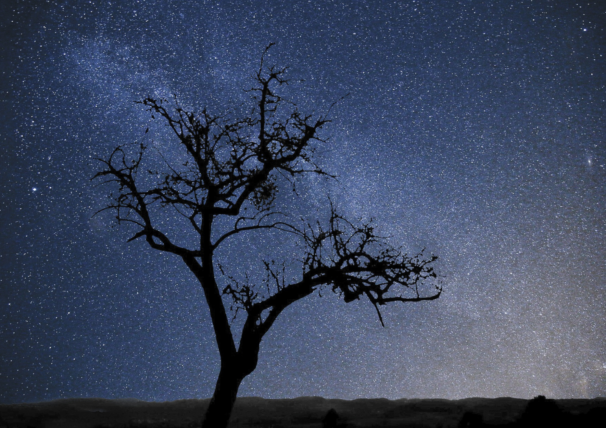 Tant qu'il y aura des toiles : apro dnatoire, film et balade nocturne