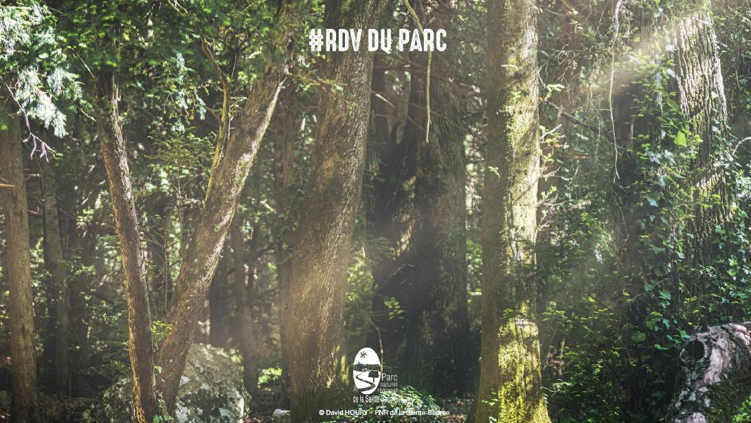 Balade enchante : nature et mythologie #RDVduParc