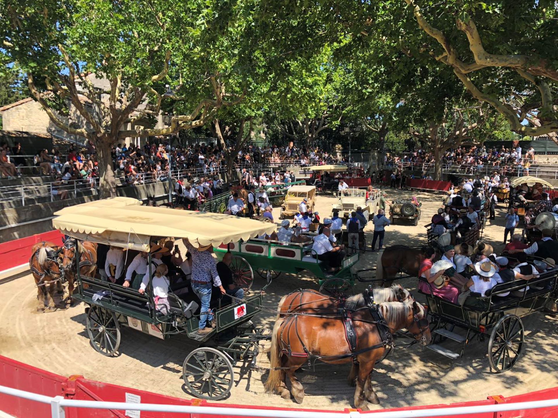 Ftes de la Tarasque/Samedi 28 juin