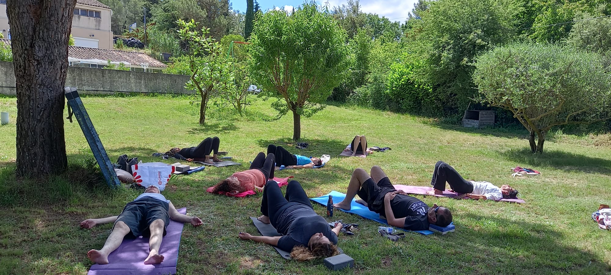 YOGA ET QIGONG-BIEN TRE EN PROVENCE