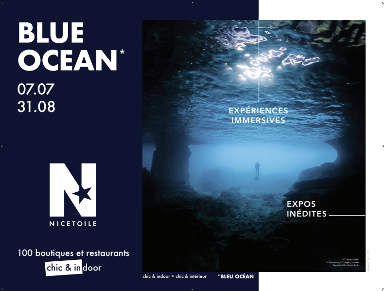 Blue Ocean - Expriences immersives & Expositions indites
