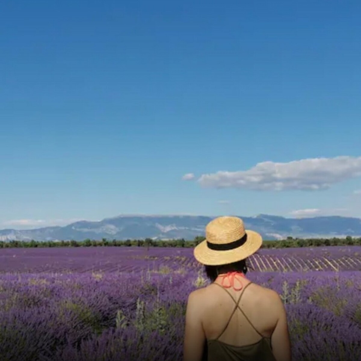 Agritourisme : Visite d'une exploitation agricole bio et dgustation de produits locaux