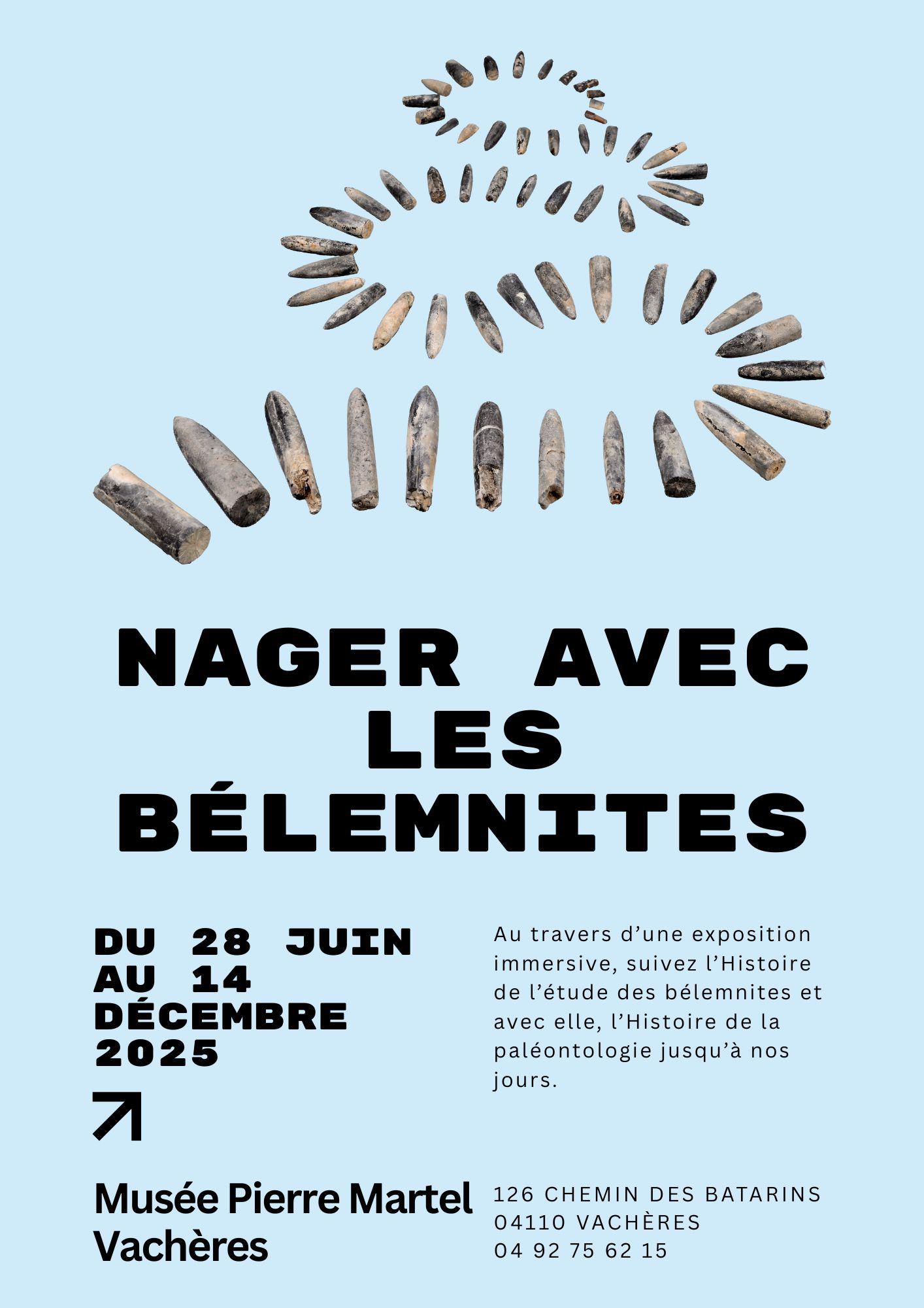 Nager avec les blemnites - Exposition temporaire