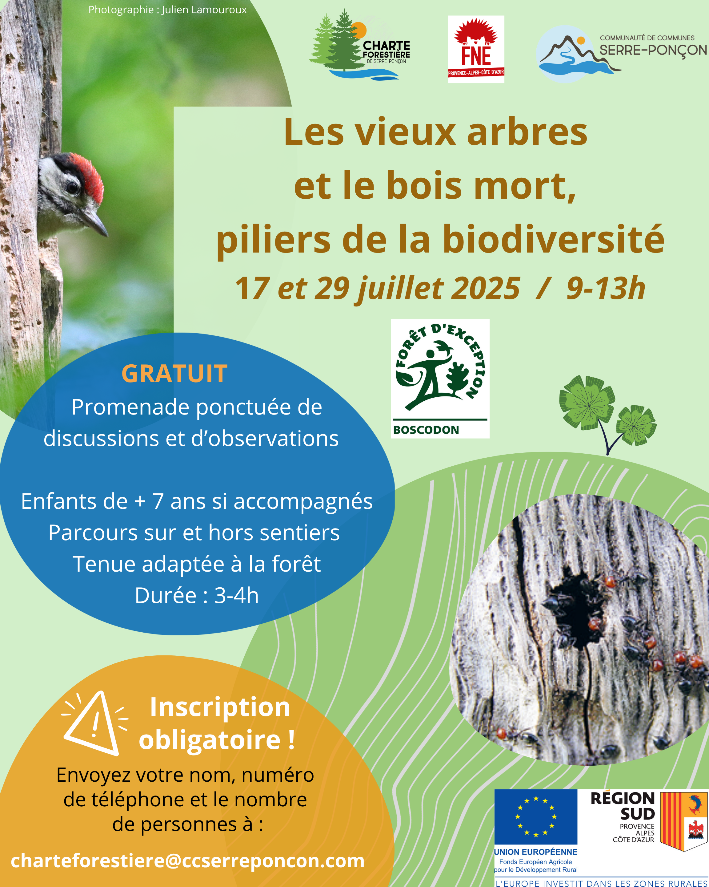 Les bois morts et vieux bois, piliers de la biodiversit