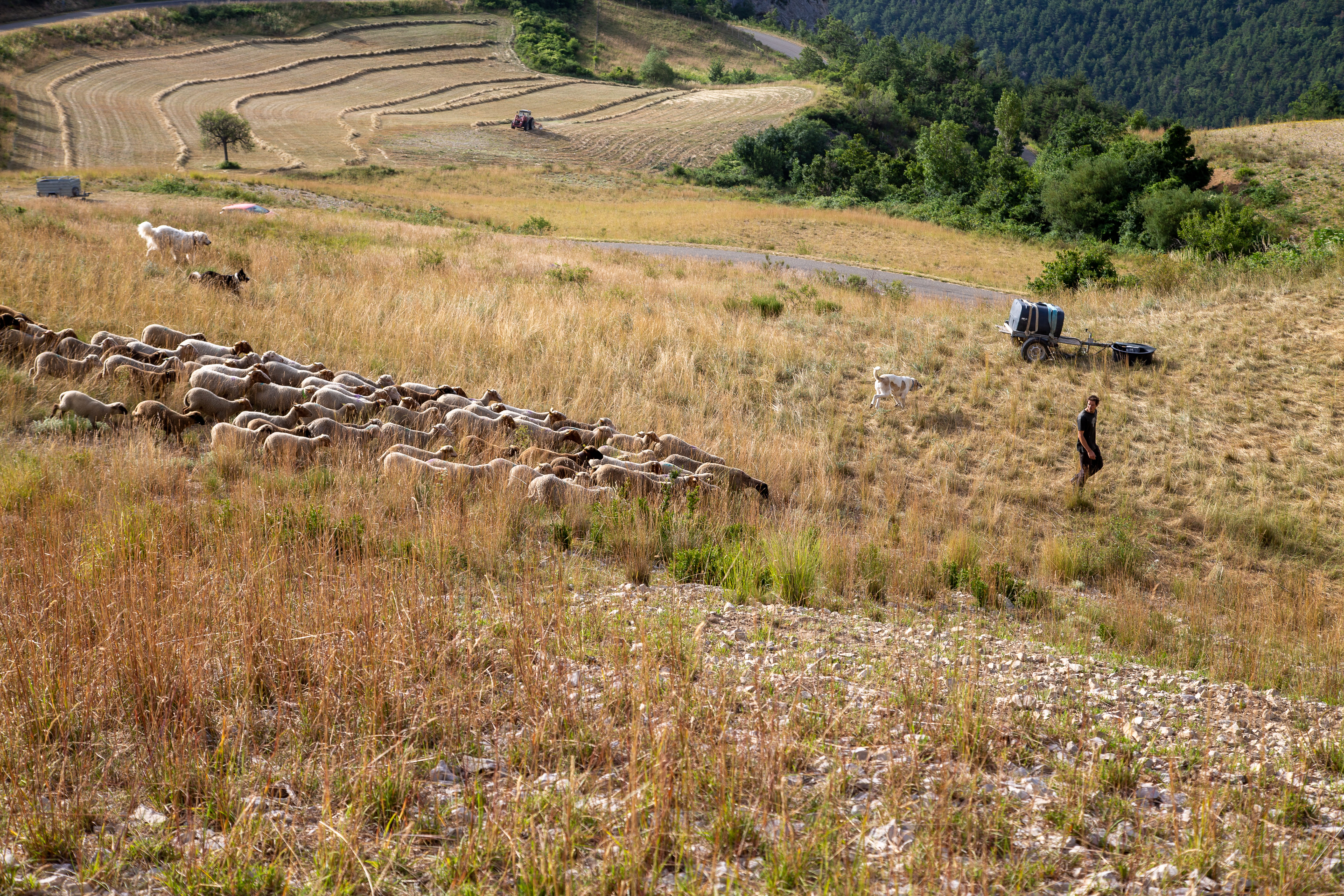 Mdiation pastorale : visite de la Ferme des Sagnes
