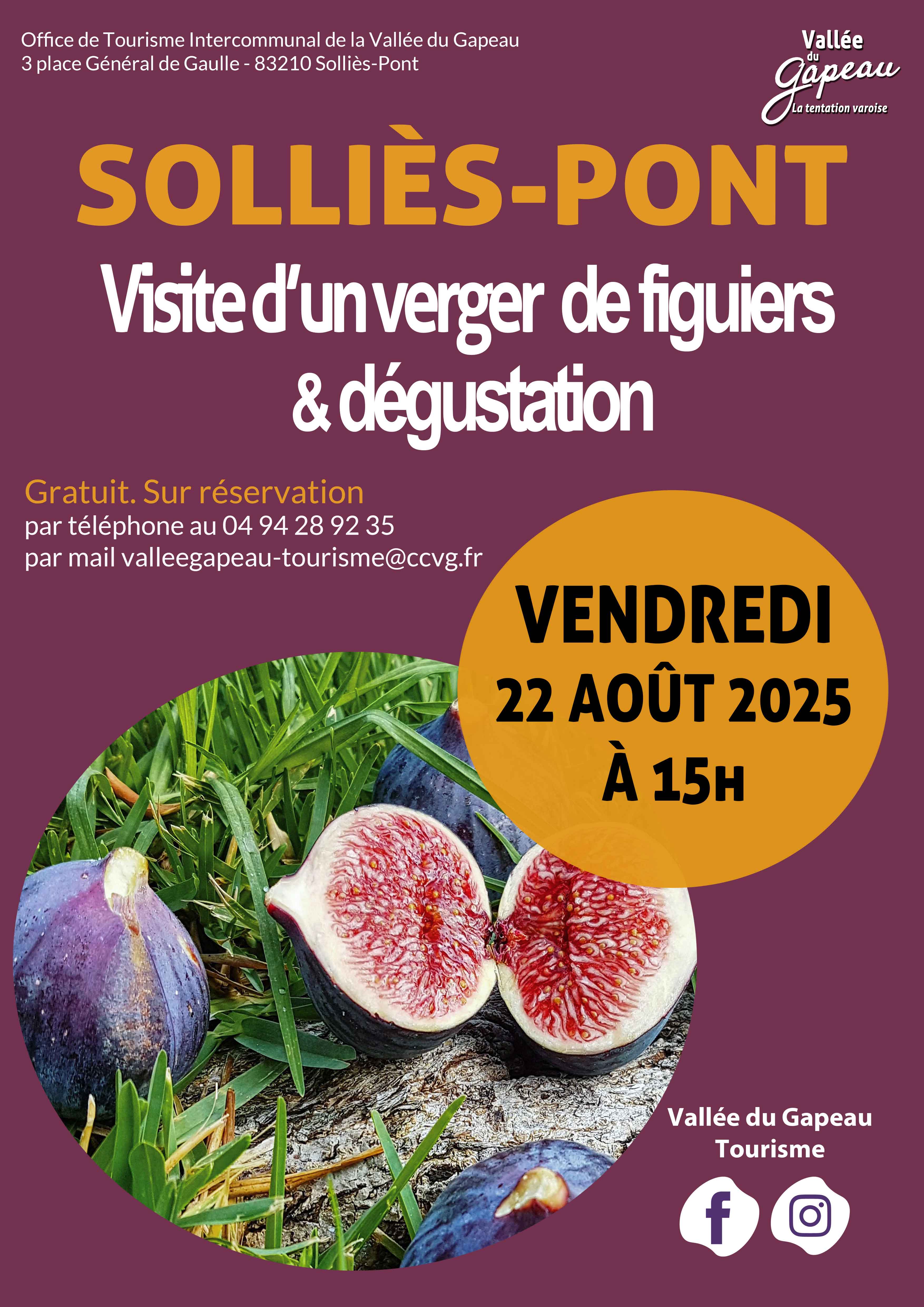 Visite dun verger de figuiers et dgustation