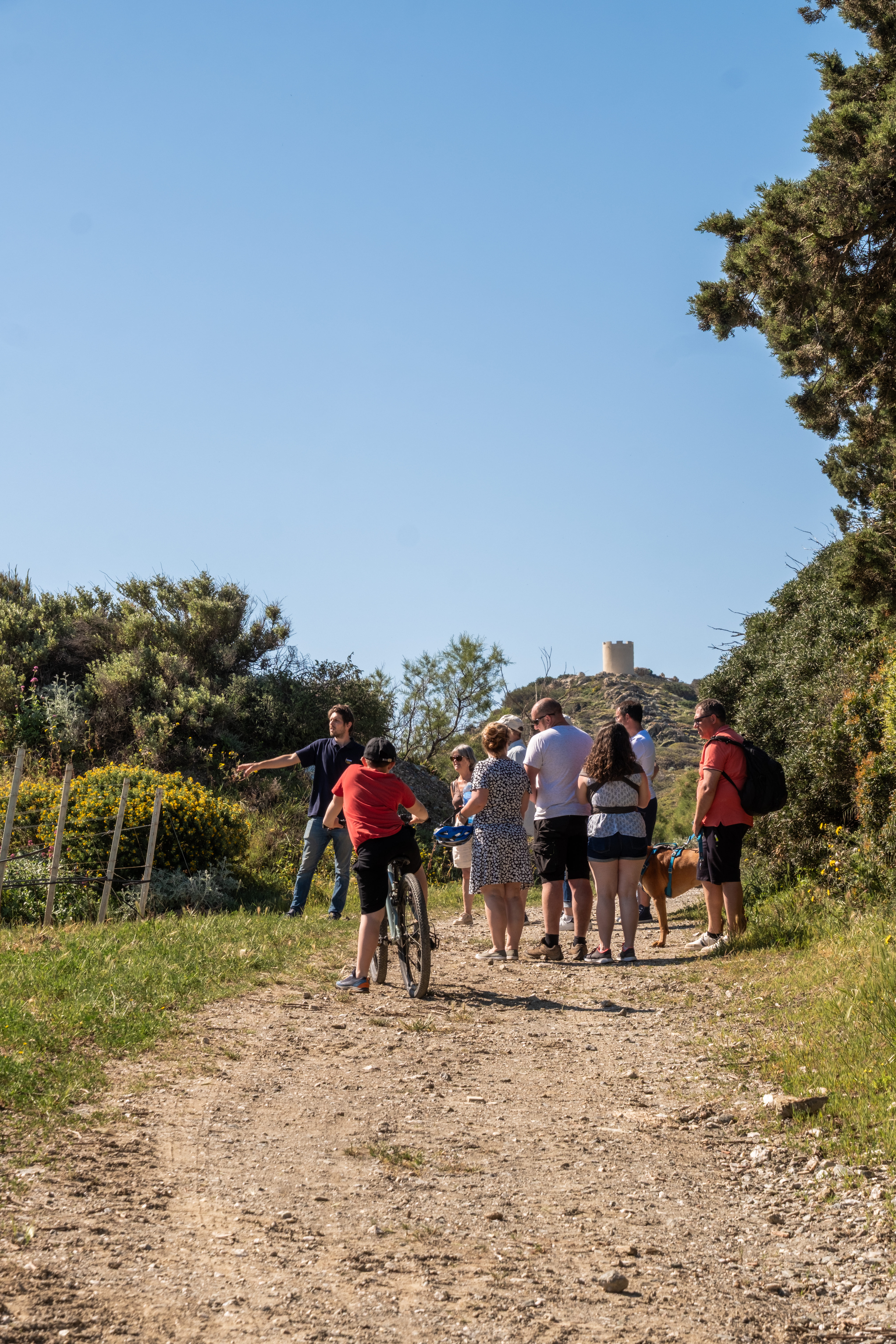 Les visites du domaine des Embiez