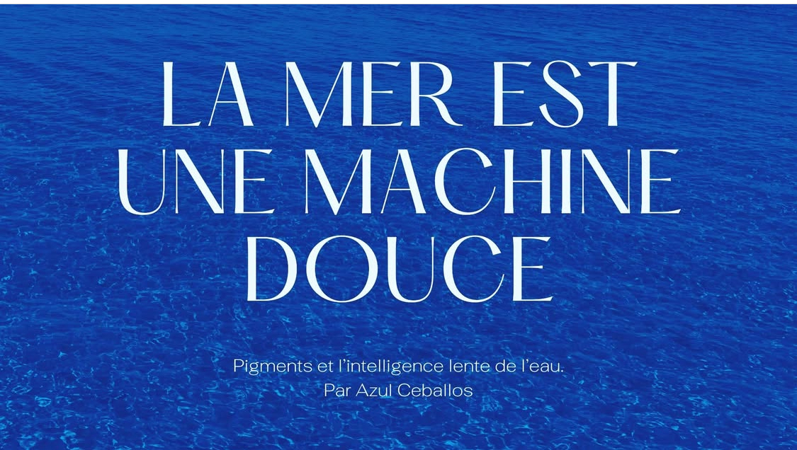 Rencontre avec lartiste Azul