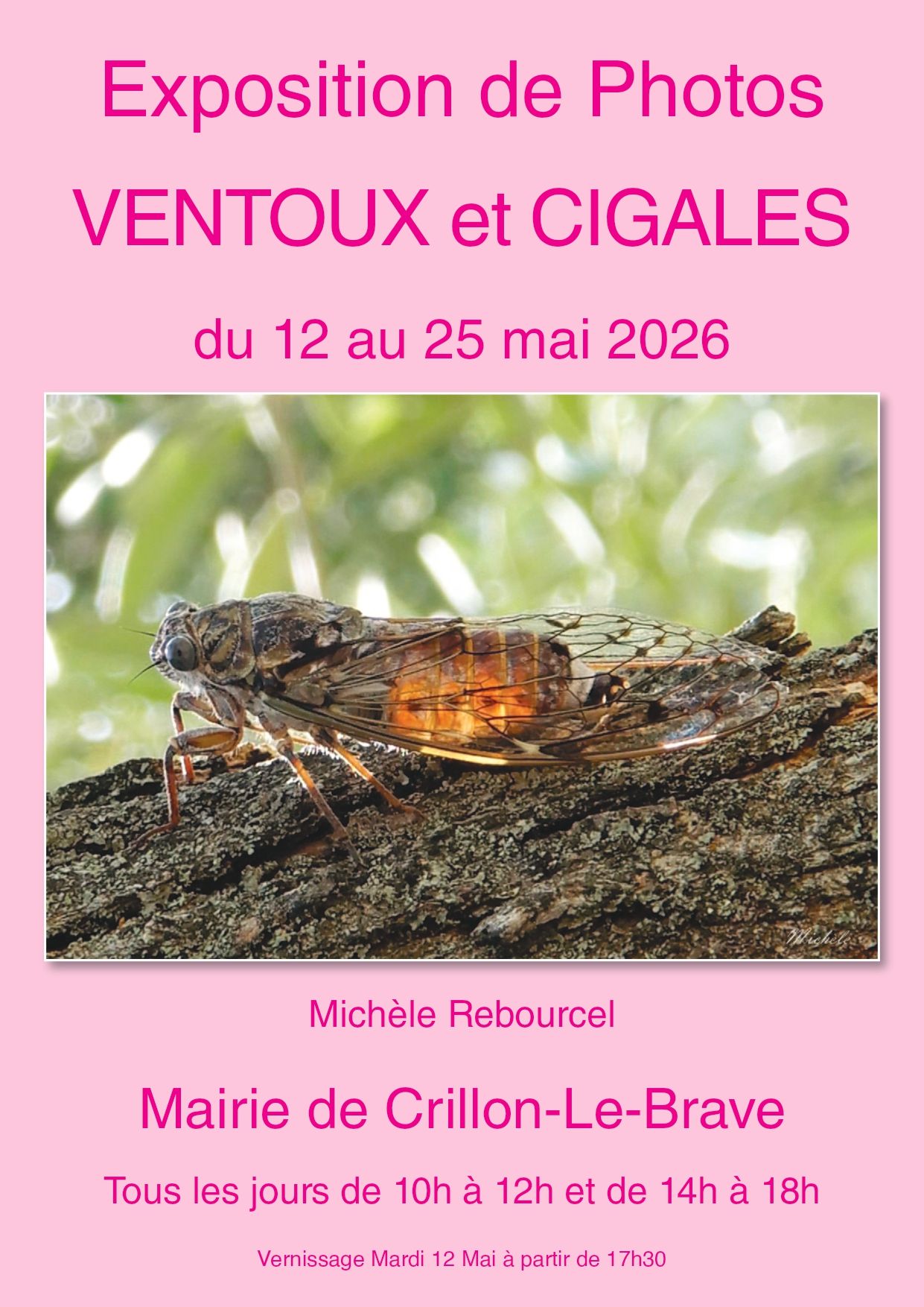 Exposition photos : Ventoux et Cigales