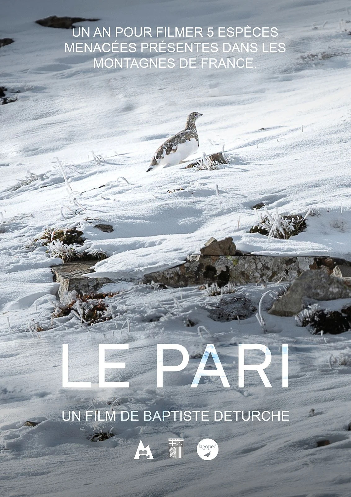 Projection du film 