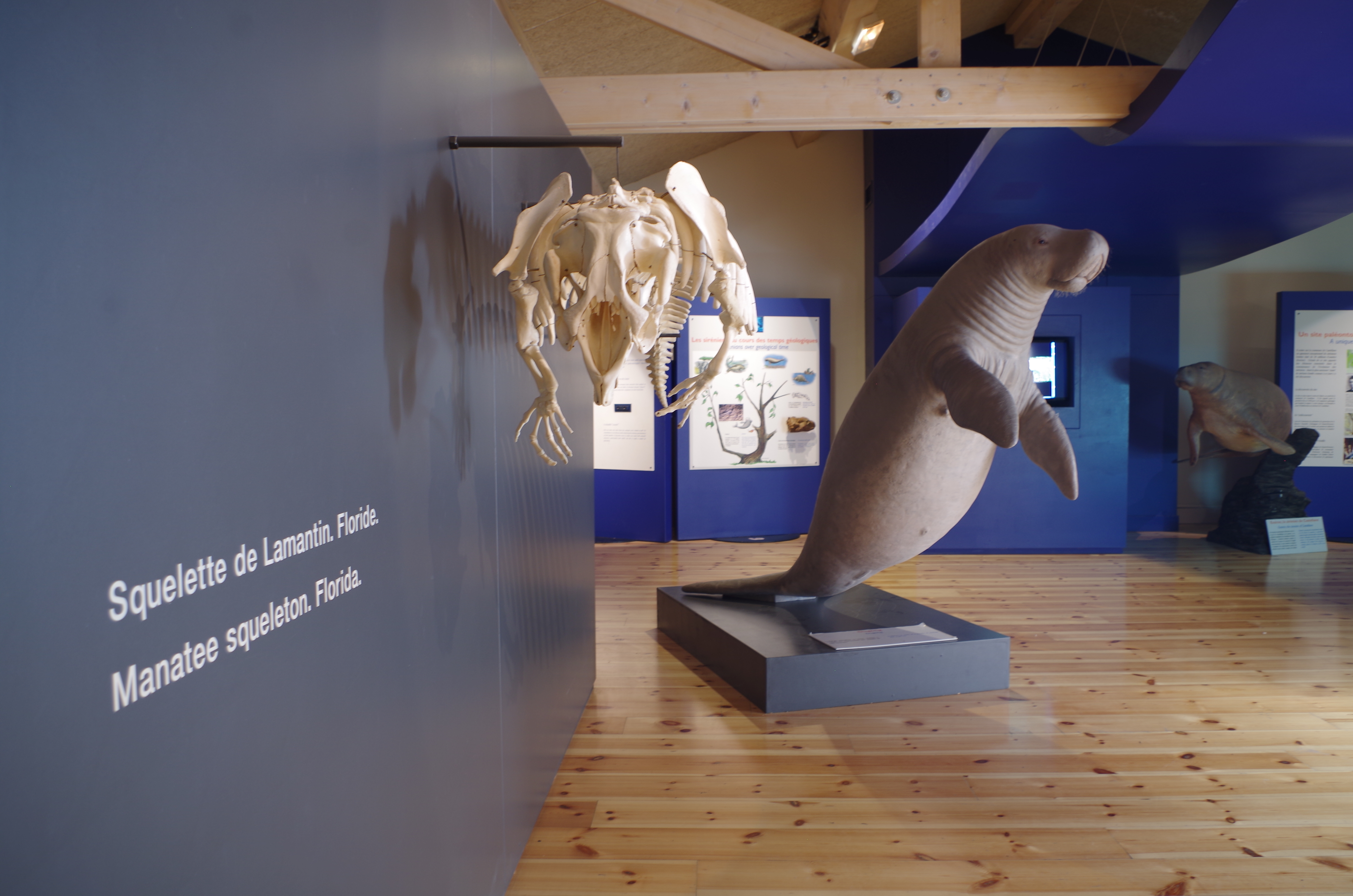 Visite guide de l'exposition 