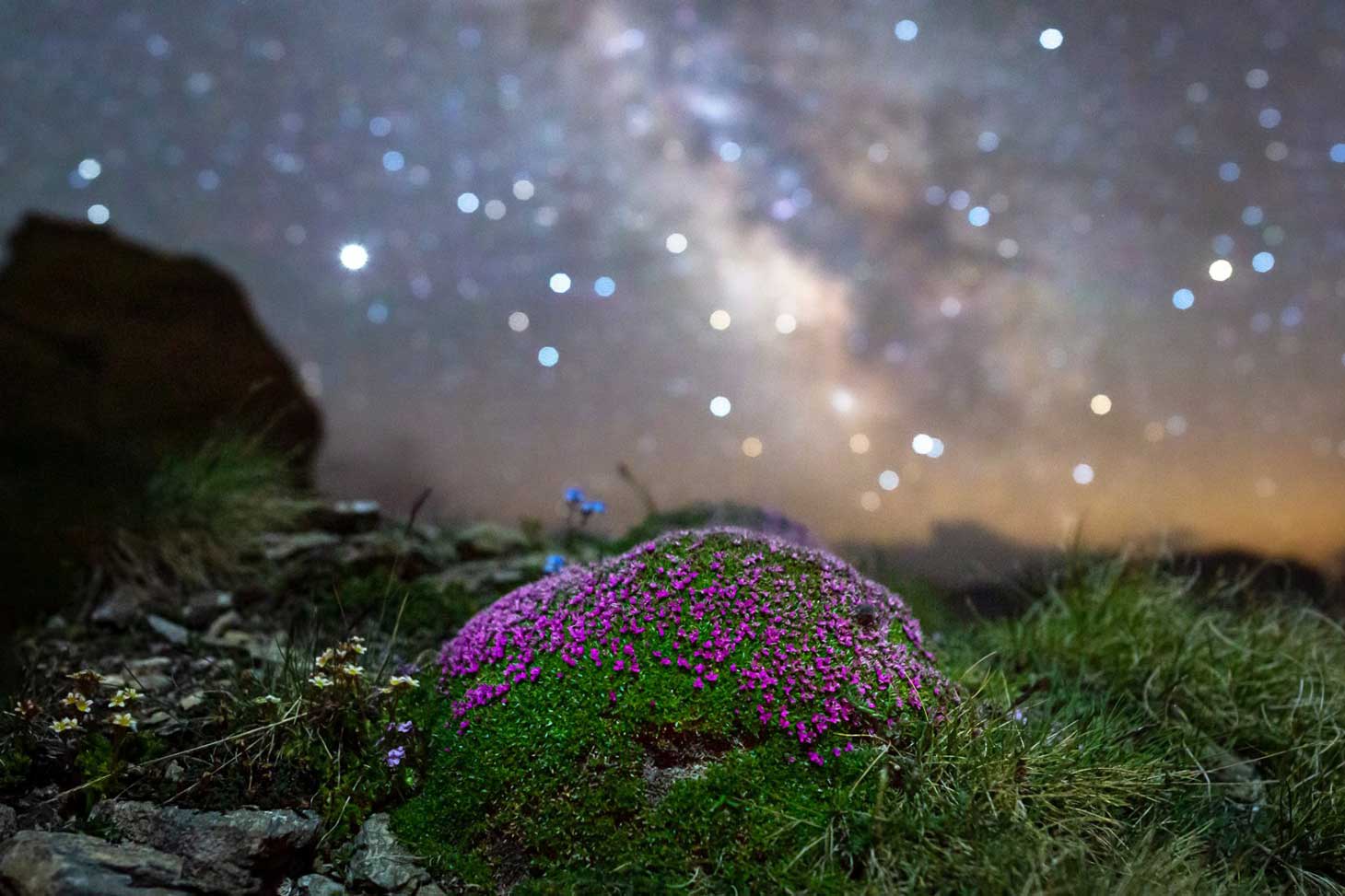Stage photo du ciel toil et paysage nocturne