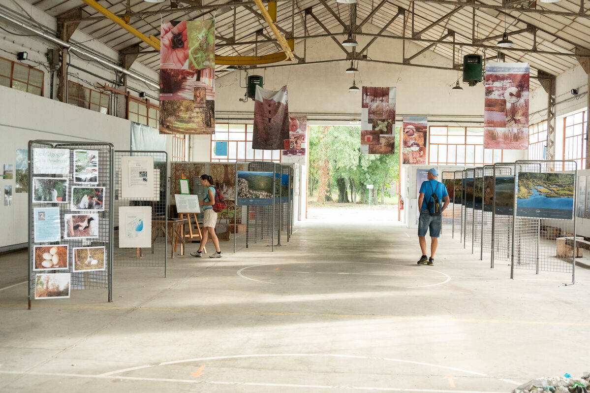 Journes Europennes du Patrimoine  Miramas
