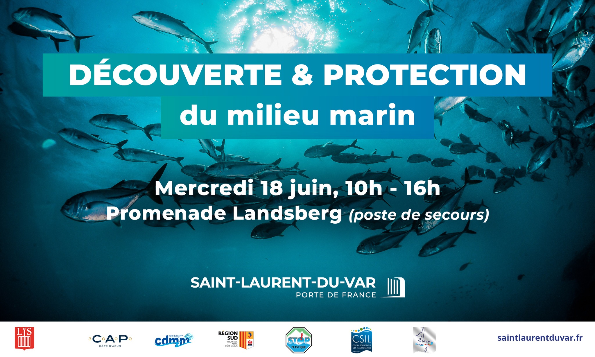 Dcouverte et Protection du Milieu Marin