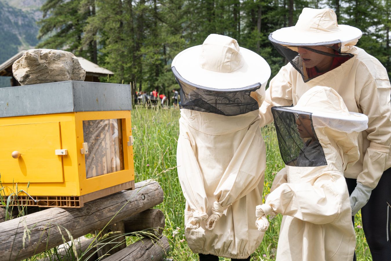 Familles en Orres : Visite accompagne des ruches des Orres