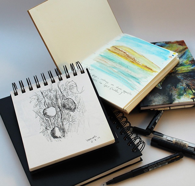 Carnet de voyage 