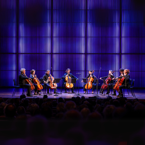 La nuit des violoncelles  la Villa Carmignac