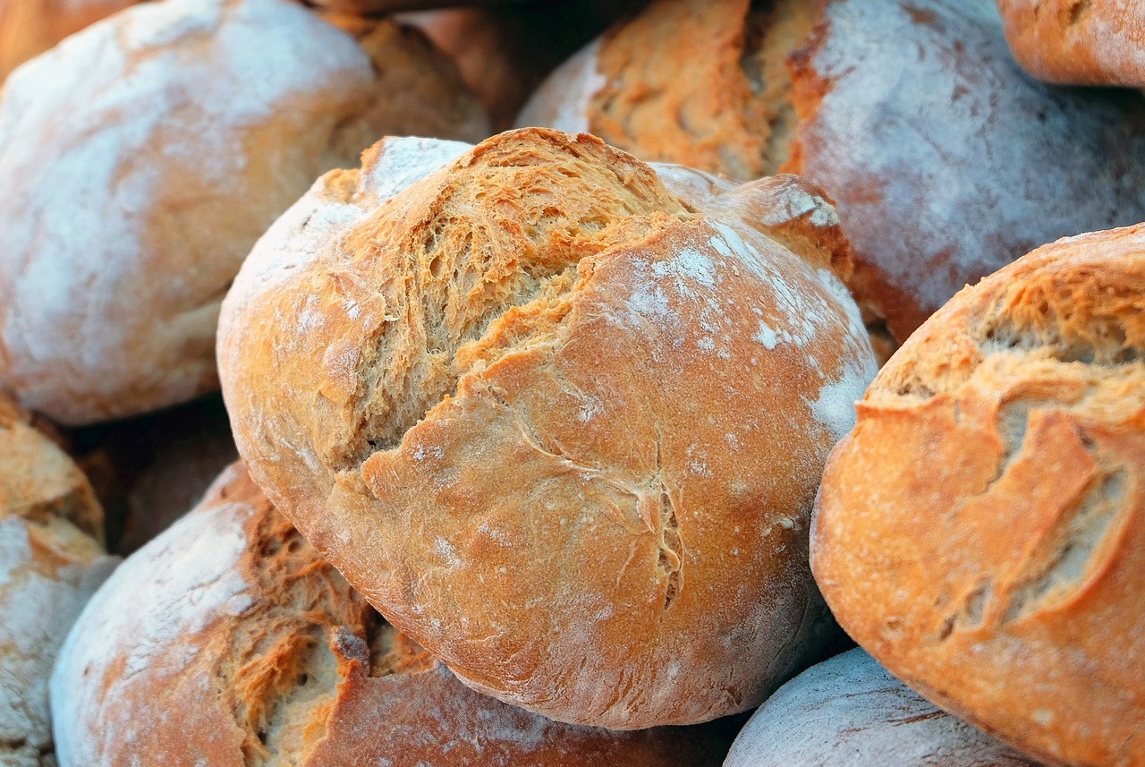 Atelier pain et visite du moulin de Vilar-Loubire