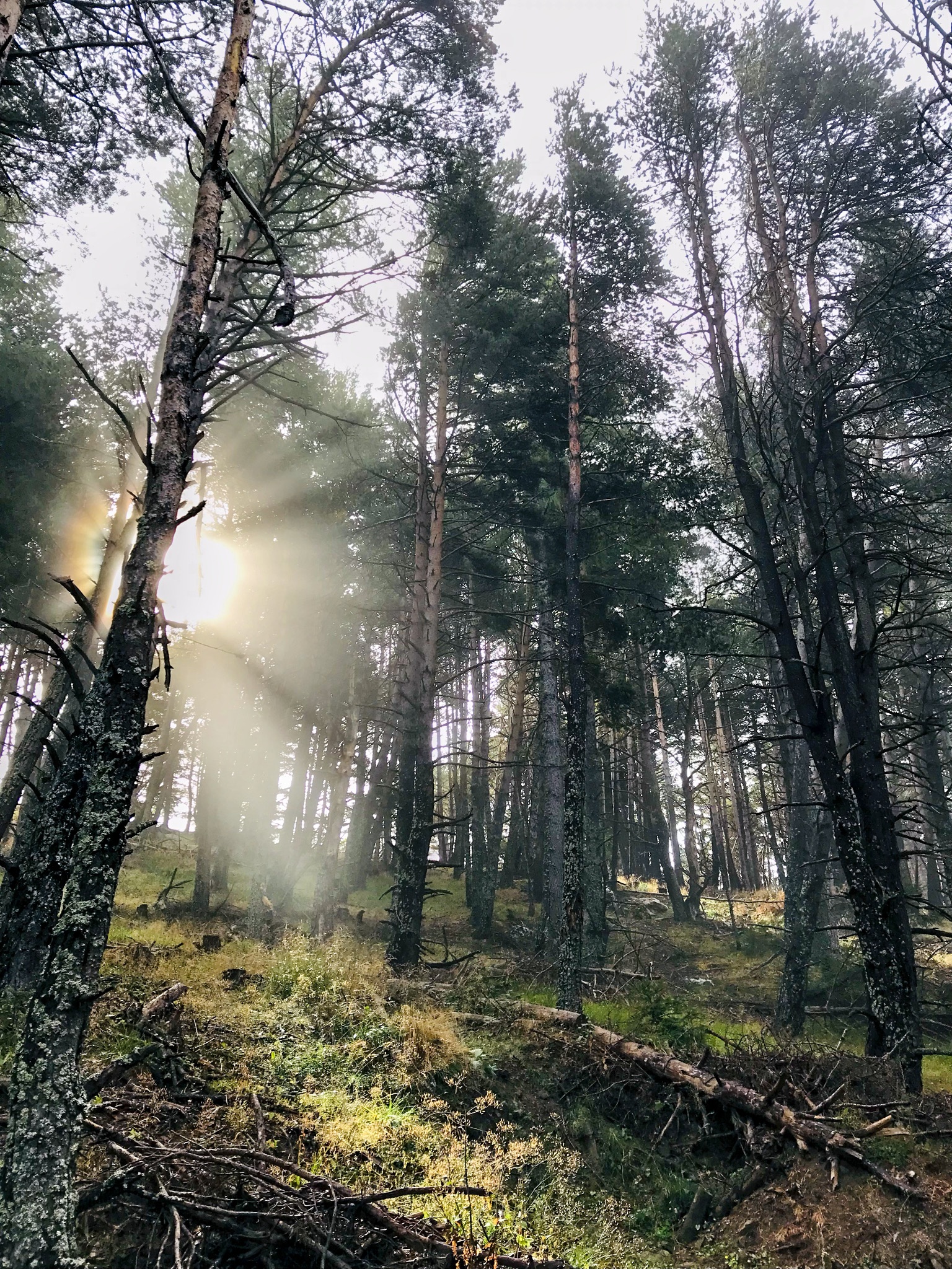 Randonne Familiale Empreintes d't, sur les pas de la nature artiste