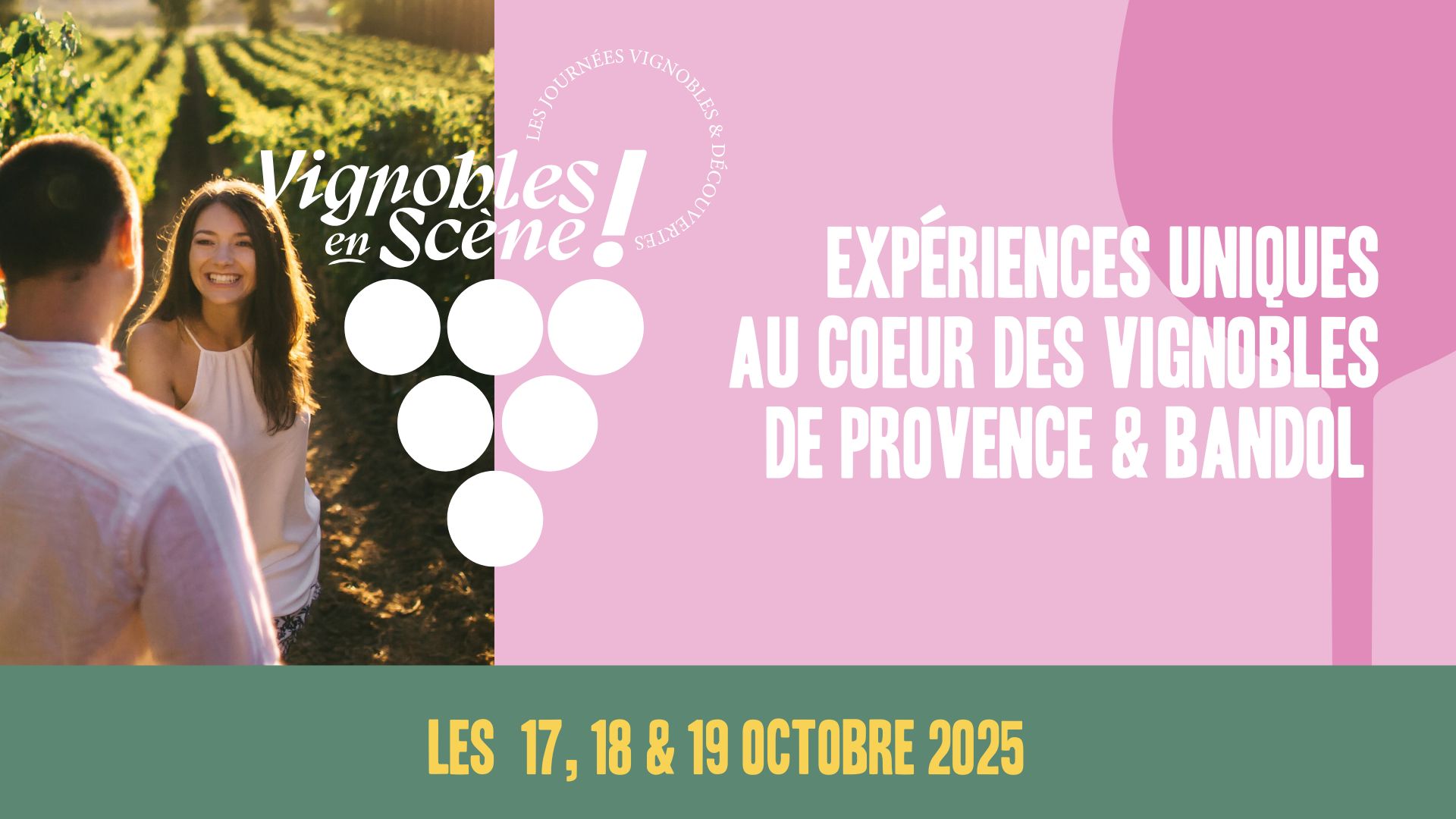 Vignobles en scne dans le Golfe de Saint-Tropez