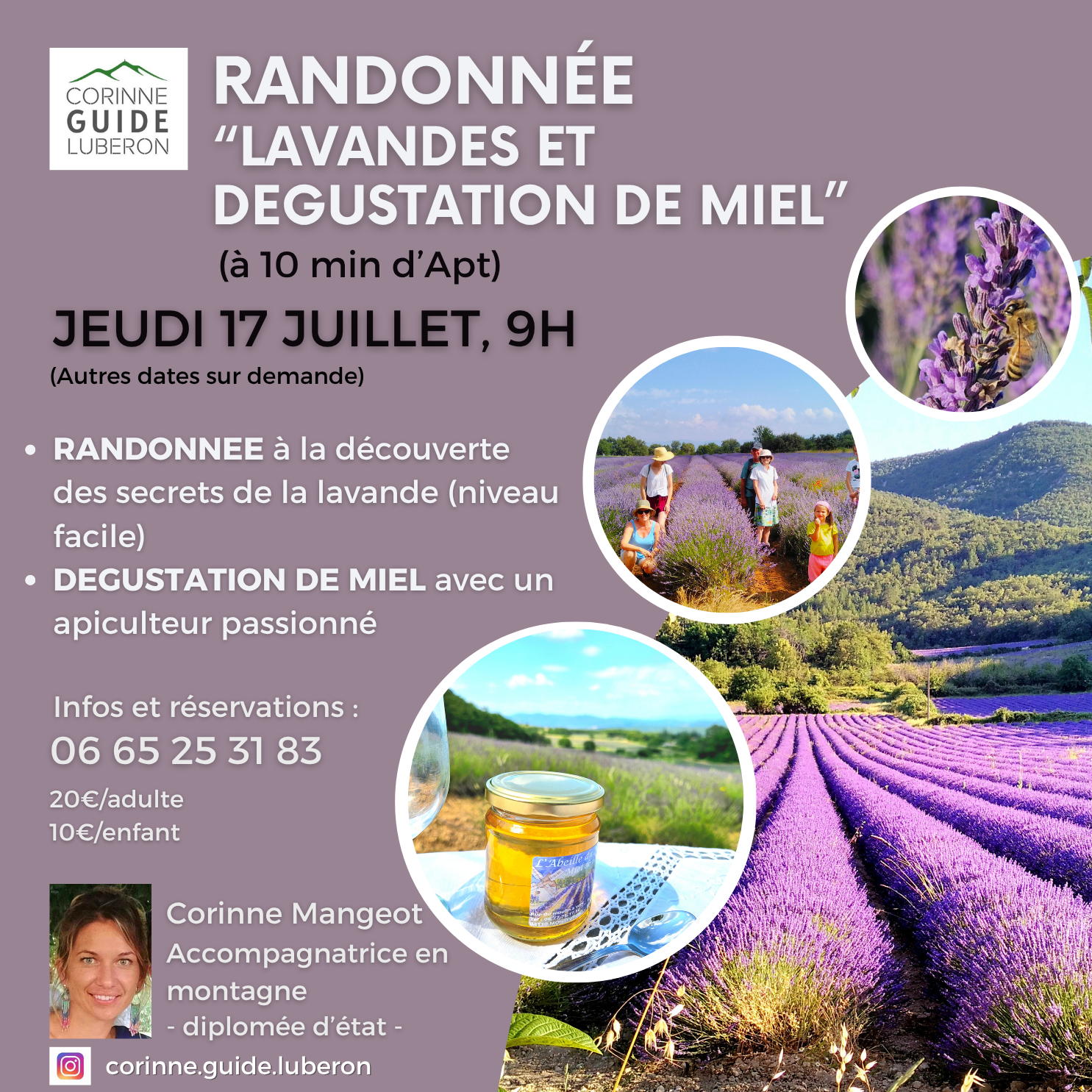 Randonne Lavande et dgustation de miel avec un apiculteur