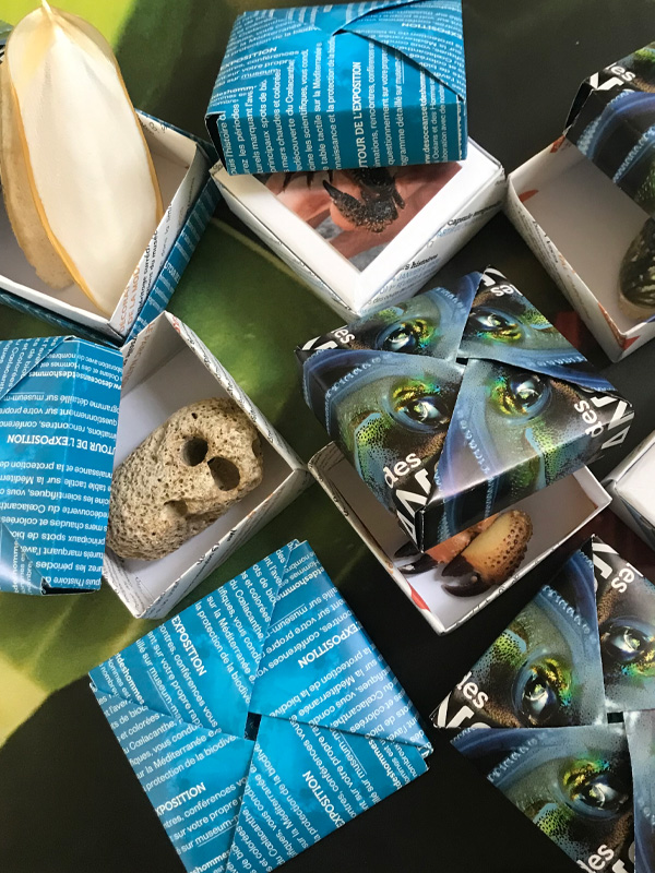 Petits jeux Musum de l't