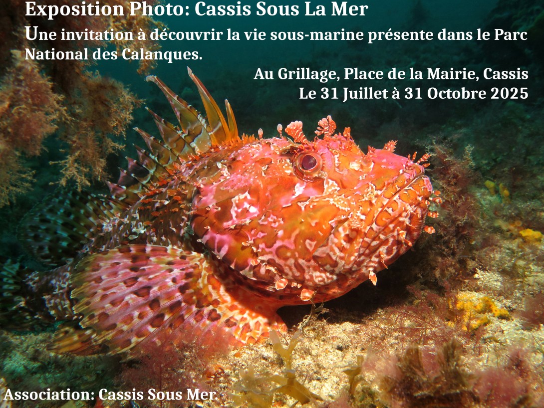 Exposition de photographies de Natasha Gaudin sur les grilles de la Place Baragnon - 