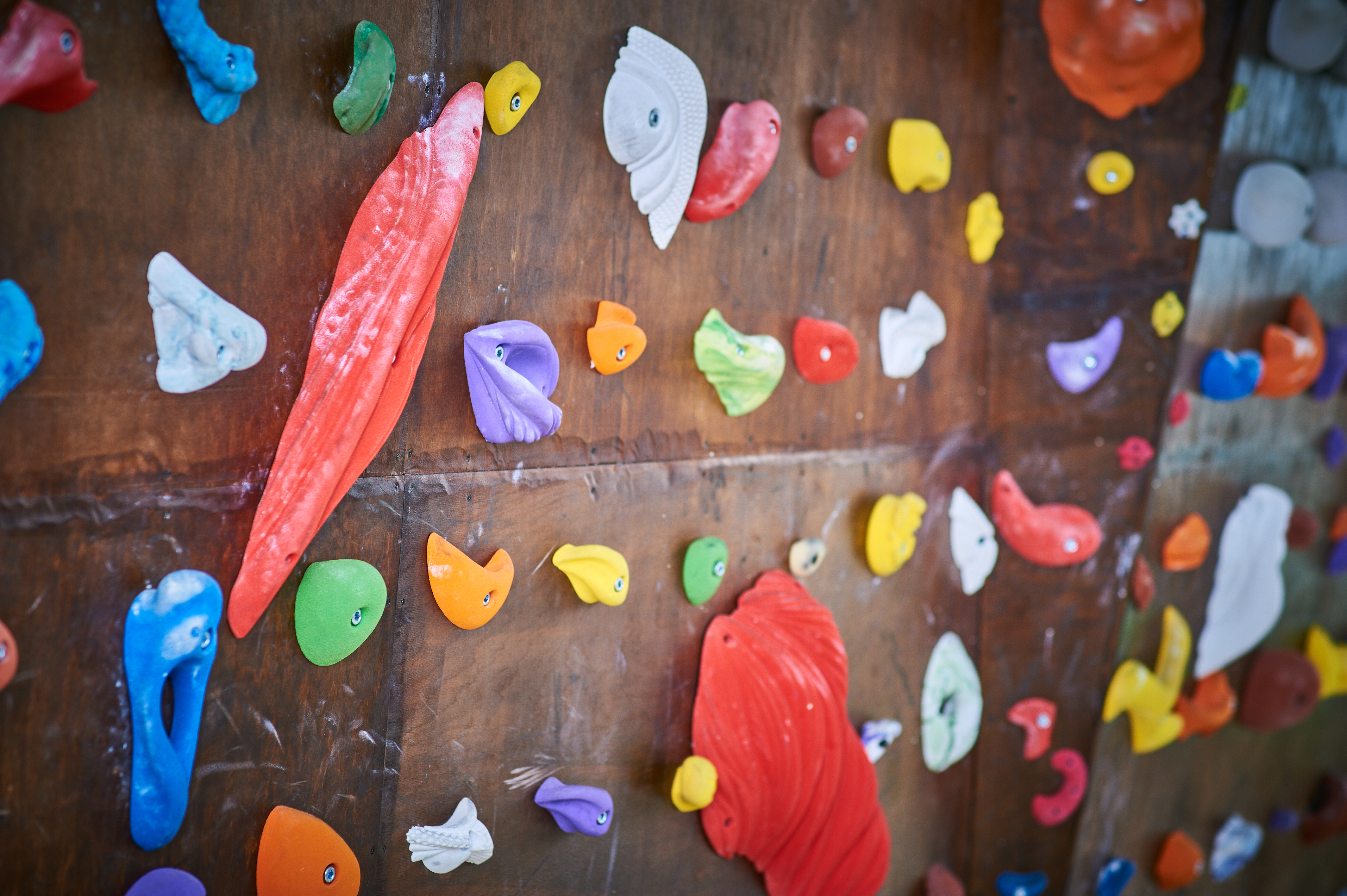 Mur d'escalade