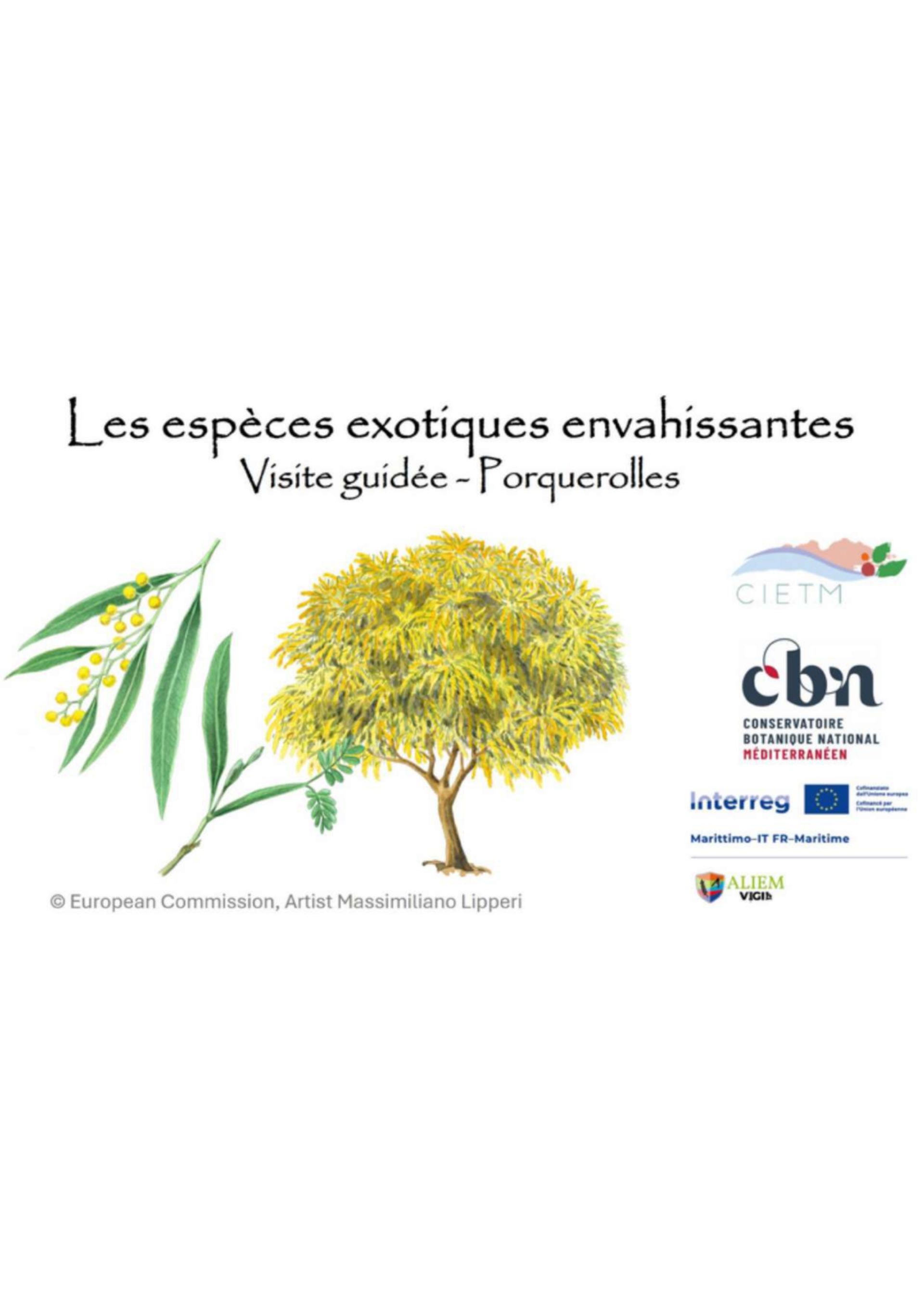 Balade nature sur lle de Porquerolles - Les trsors du Var en pril