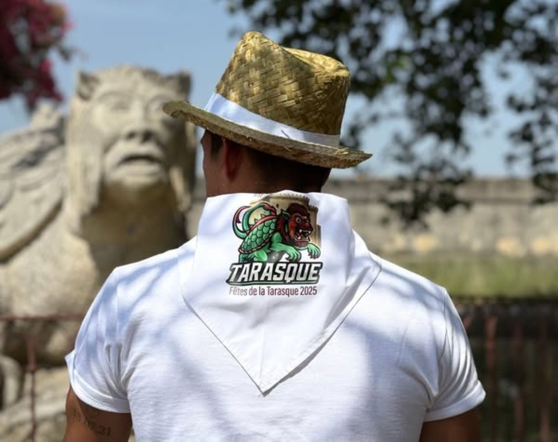 Les Ftes de la Tarasque 2025/Pack  de 