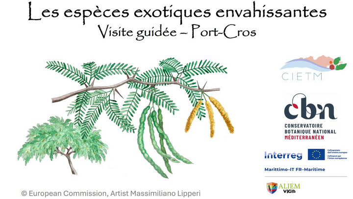 Balade nature Port-Cros : les trsors du Var menacs