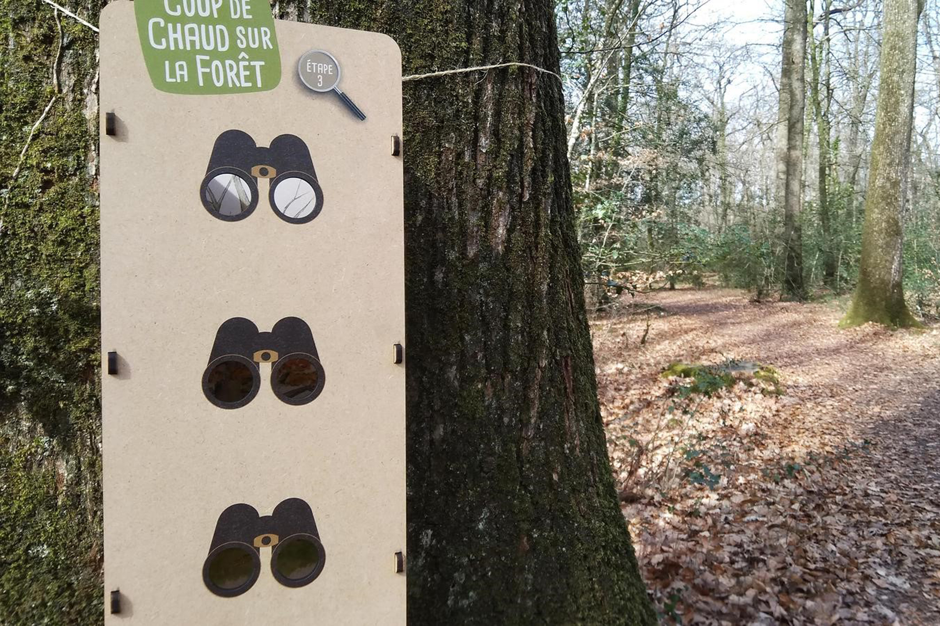 Coup de chaud sur la fort - Jeu de piste en famille