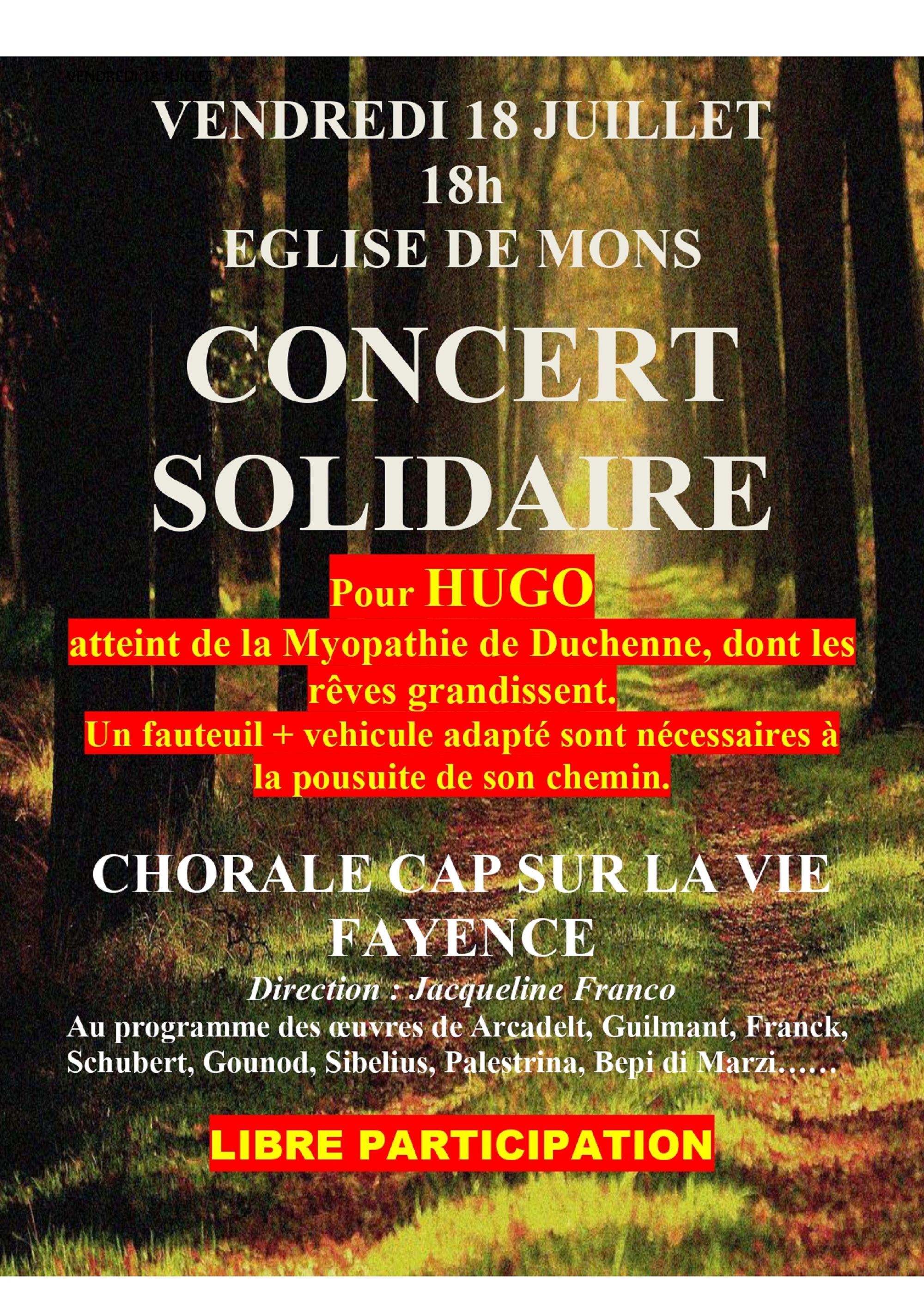 Concert Solidaire pour Hugo