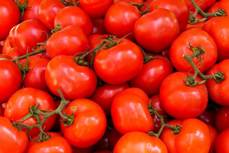 F�te de la Tomate
