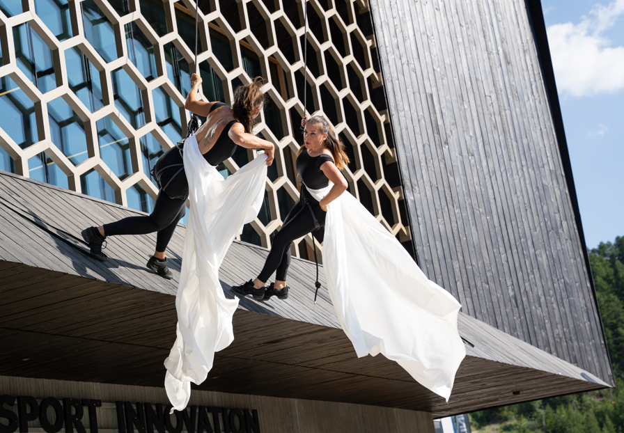 Game of trees : Ballet arien 