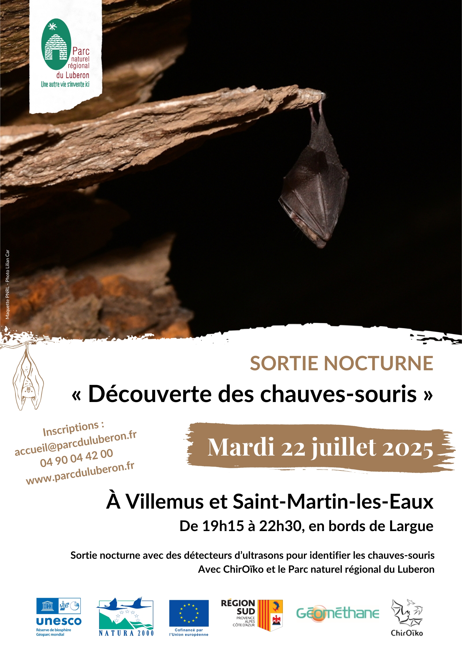 Balade confrence au crpuscule  la dcouverte des chauves-souris - Villemus (04)