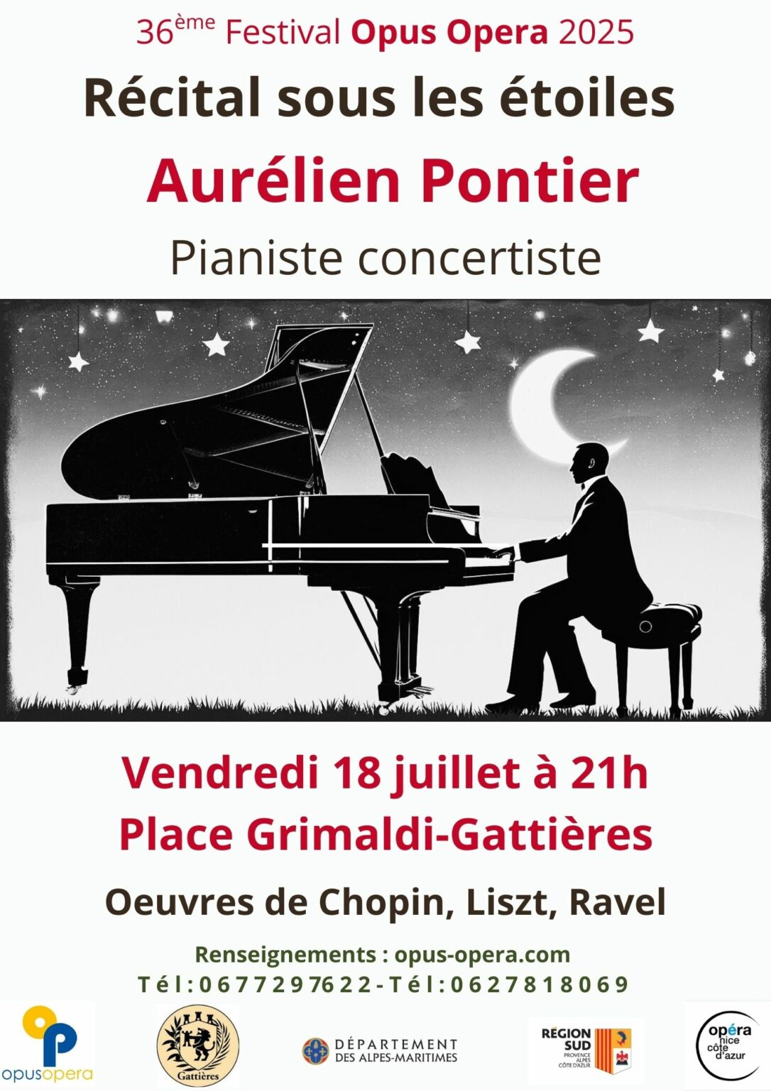 Aurlien Potier - Rcital sous les toiles