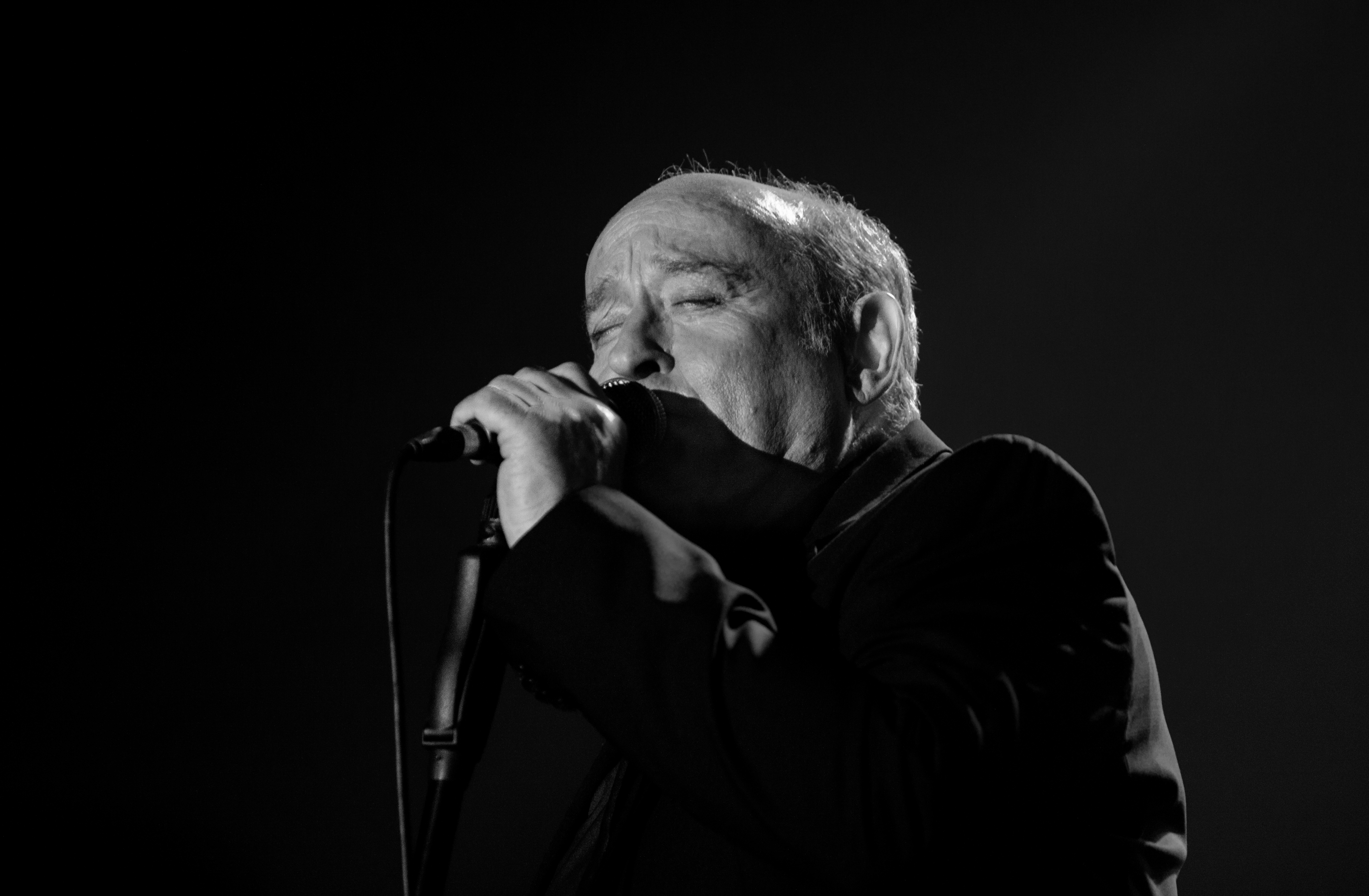 Musique : Concert de Michel Jonasz