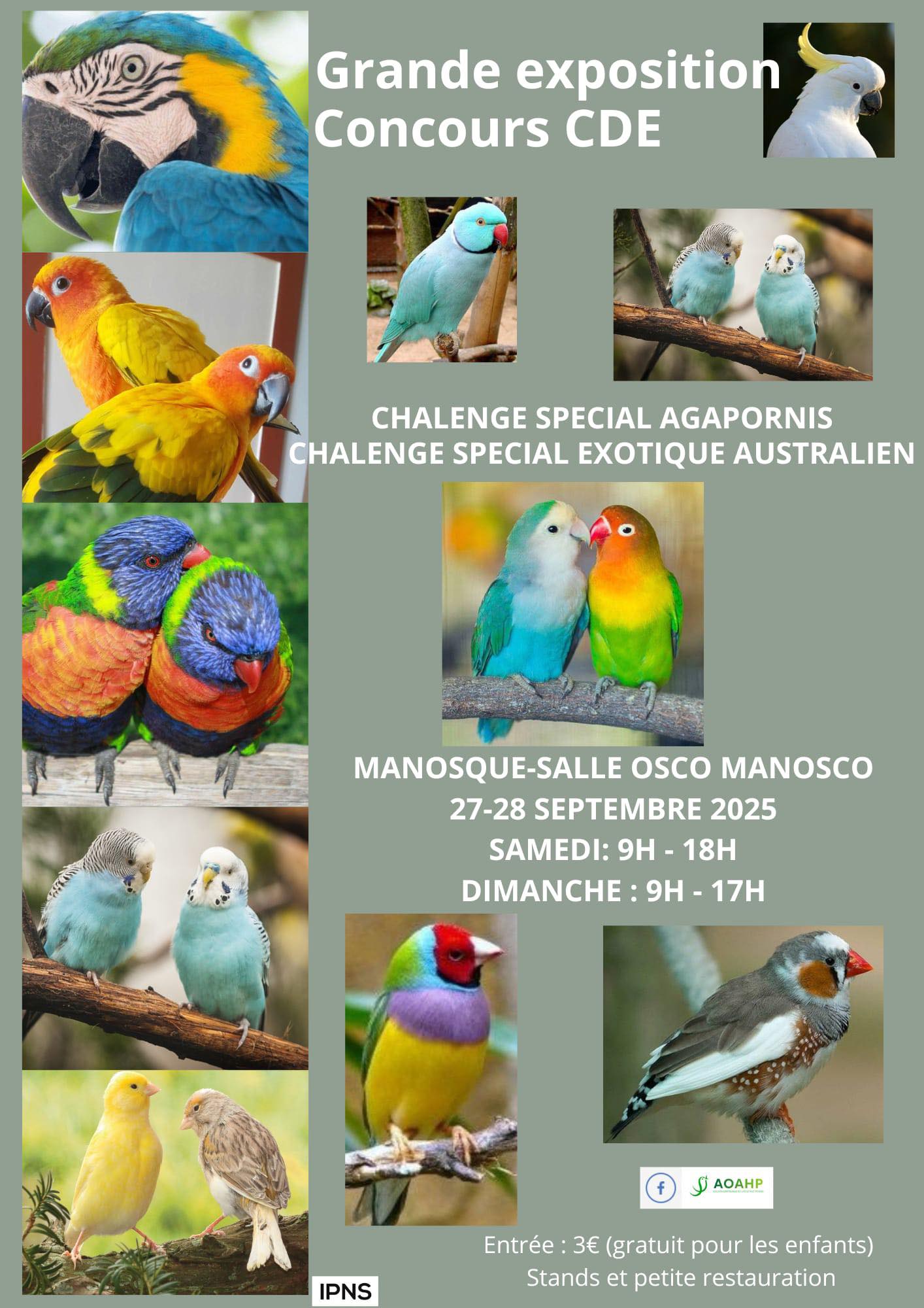 Grande exposition d'oiseaux