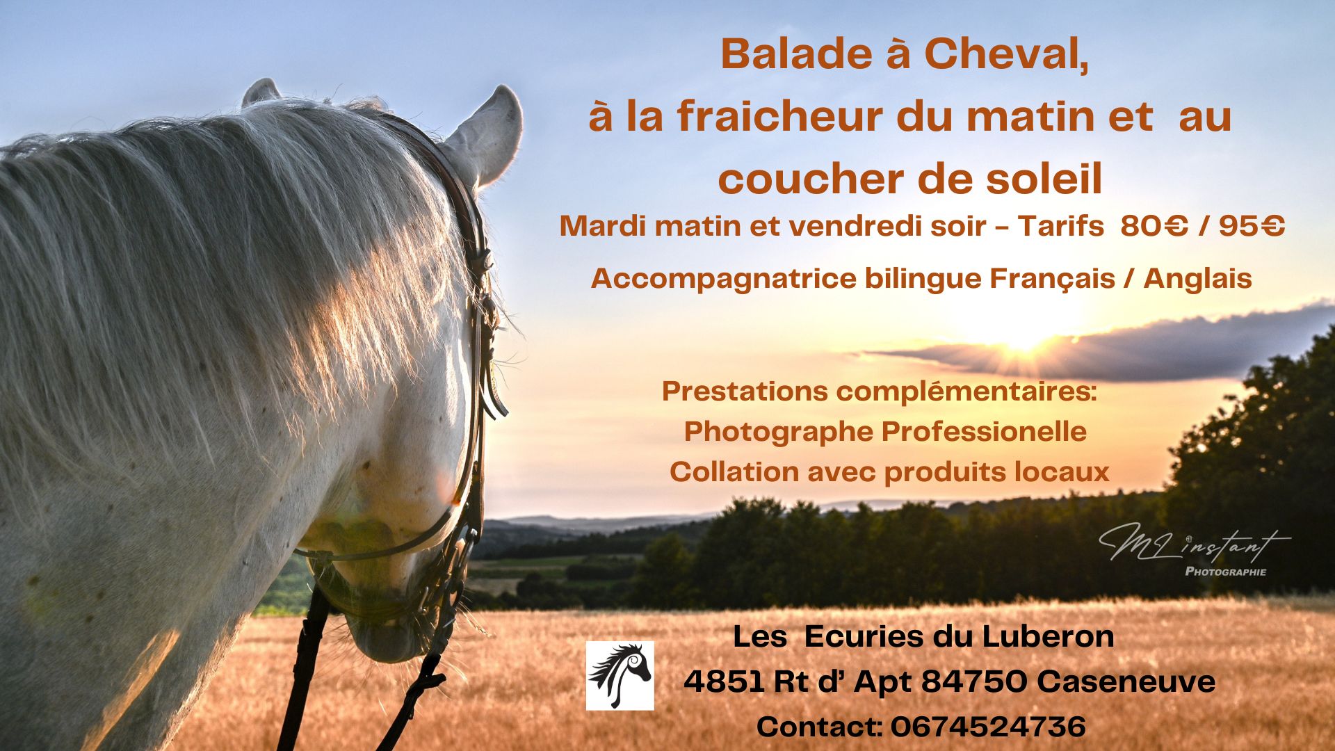 Balades  Cheval  la fraicheur du matin ou au coucher du soleil