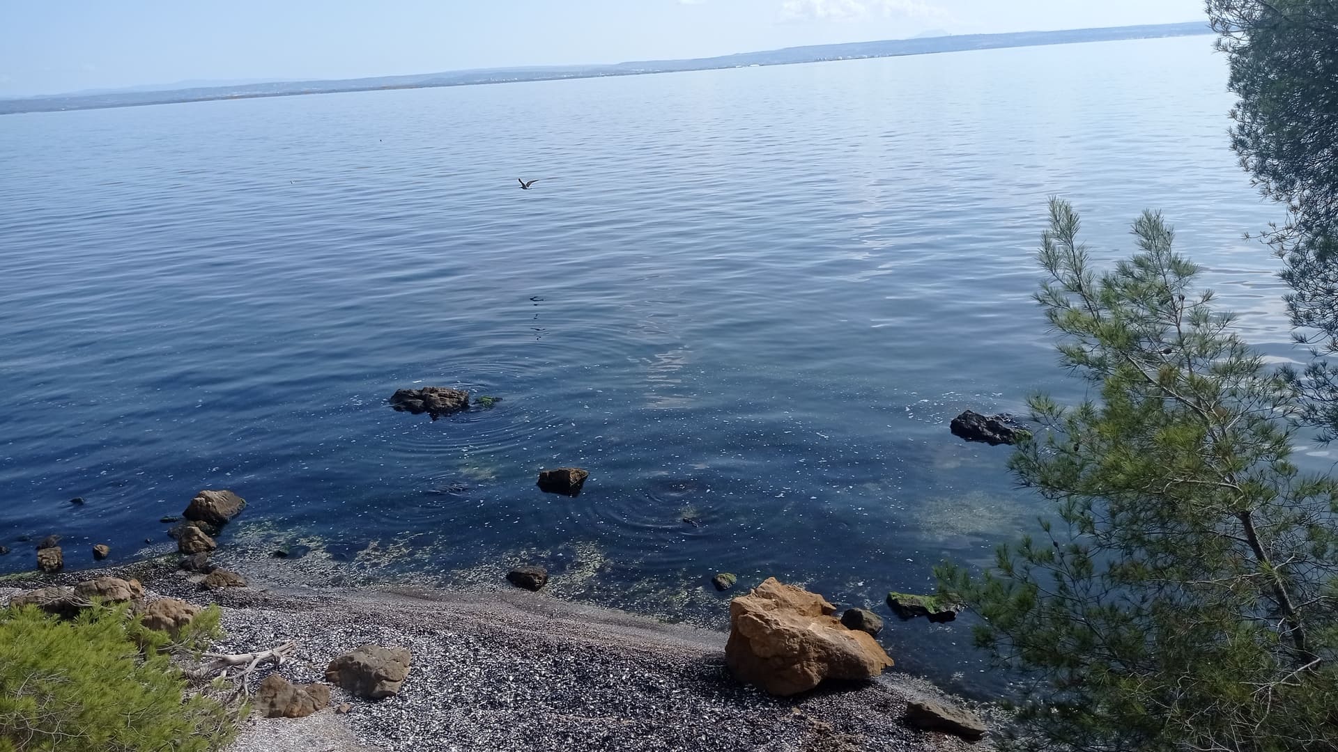 Dcouverte de l'tang et de Caronte ( pieds)