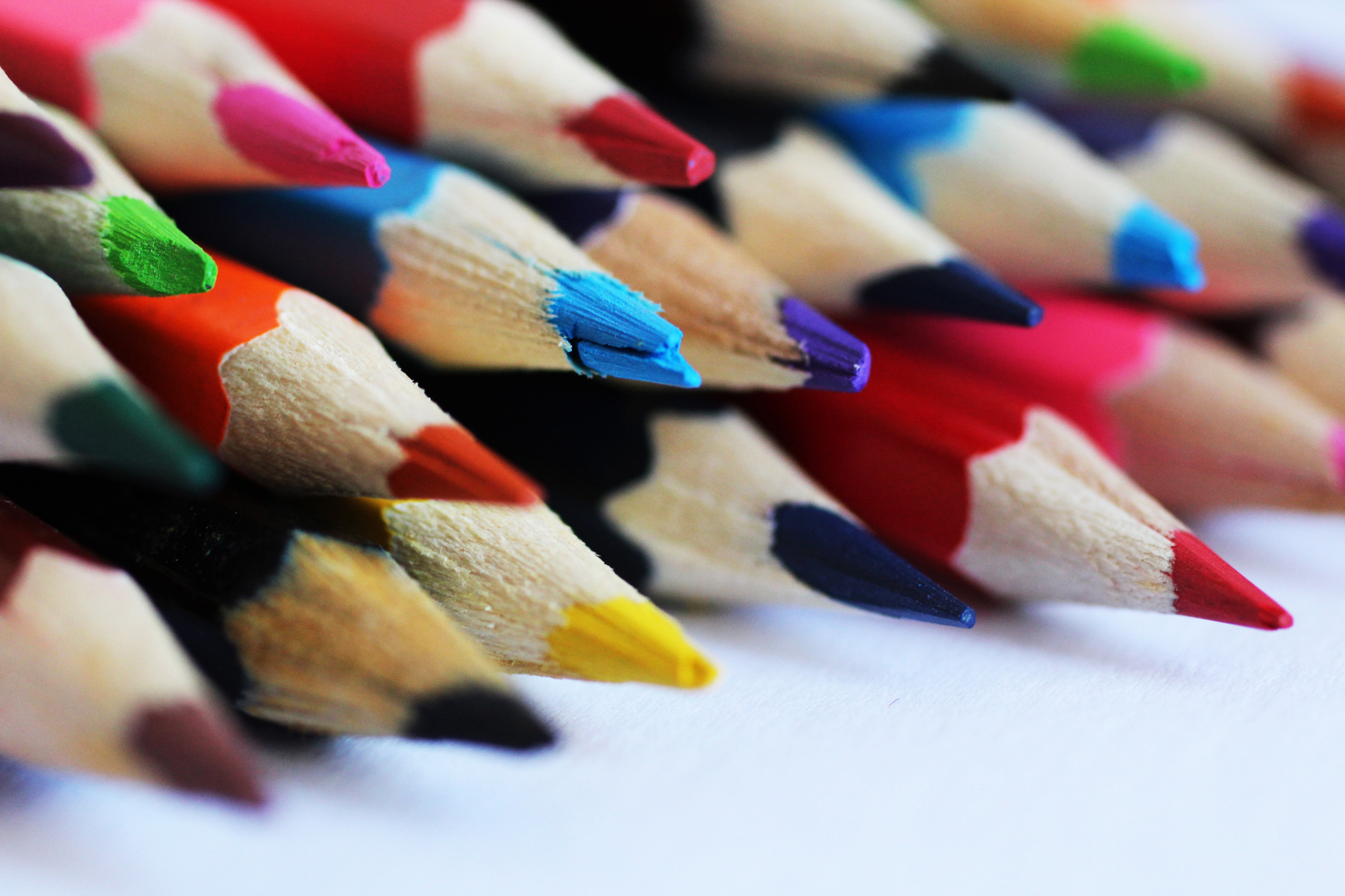 Concours de dessin  la ferme